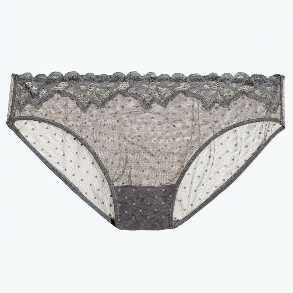 Madewell panties, size XL. Nylon/spandex. swiss dot pattern, gray. New with tags